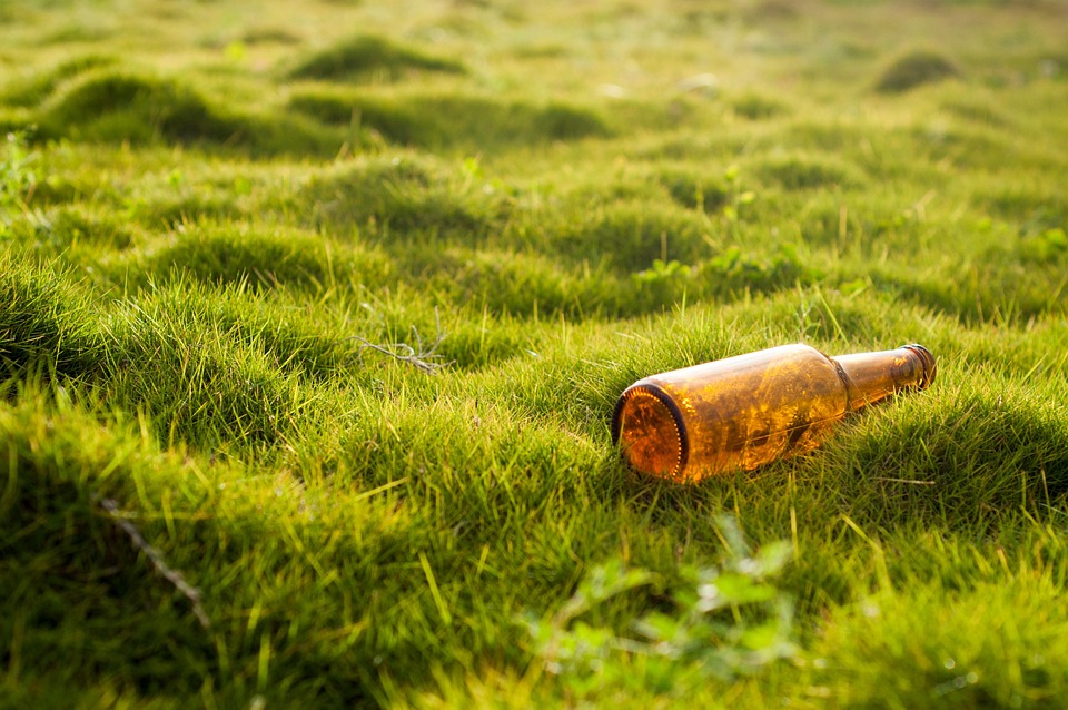 Essential Environmental Consultant CV Template: Stand Out in Your Job Application