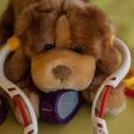 Essential Interview Guide for Aspiring Veterinary Nurses: Tips and Insights for Success