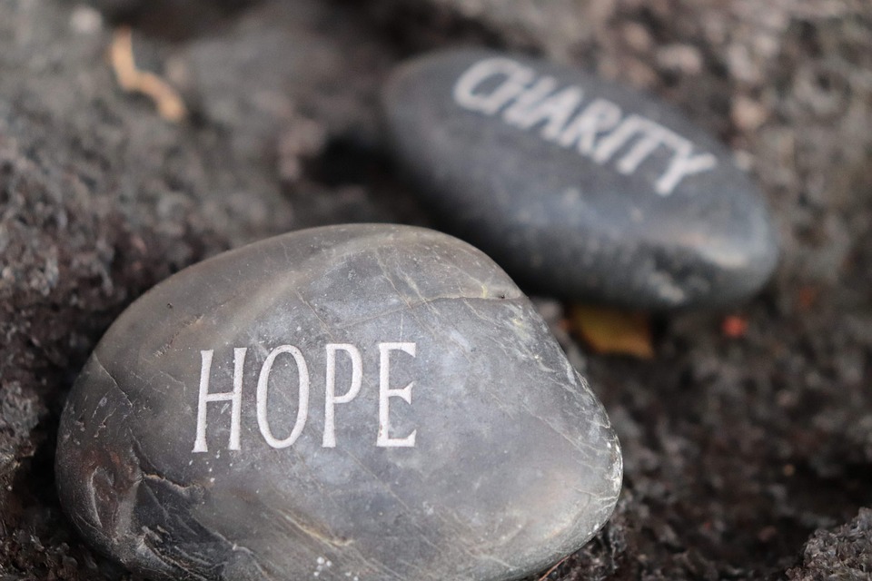 Navigating Your Career Path in Charity Fundraising: Essential Roadmaps for Success