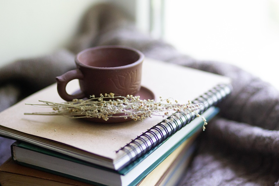 Essential Interview Guides for Aspiring Health Economists: Tips and Resources