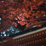 Unlocking Your Future: Comprehensive Career Roadmaps for Heritage Managers