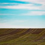 Navigating Your Career Path as a Land Surveyor: Essential Roadmaps for Success