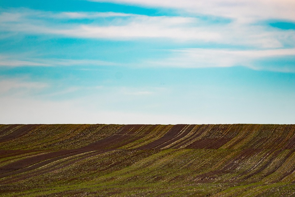 Navigating Your Career Path as a Land Surveyor: Essential Roadmaps for Success