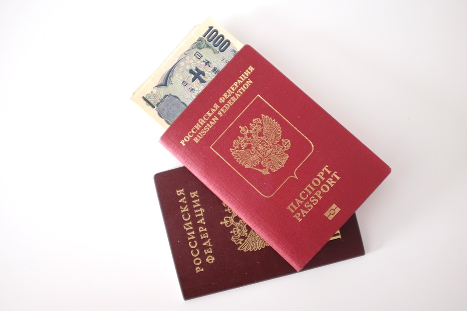 Crafting an Effective Cover Letter for Immigration Adviser Positions: Tips and Examples