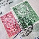 Essential Interview Guides for Immigration Advisers: Tips and Strategies for Success