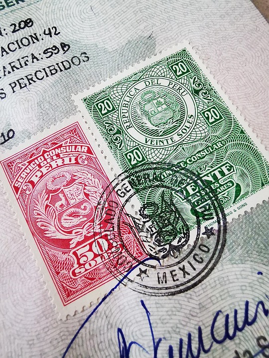 Essential Interview Guides for Immigration Advisers: Tips and Strategies for Success
