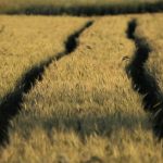 How to Craft an Impressive Cover Letter for Land Surveyor Positions: Tips and Templates