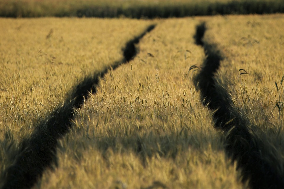 How to Craft an Impressive Cover Letter for Land Surveyor Positions: Tips and Templates