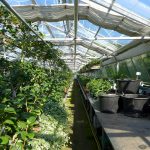 Navigating Your Career Path: Essential Roadmaps for Aspiring Nursery Managers in the UK
