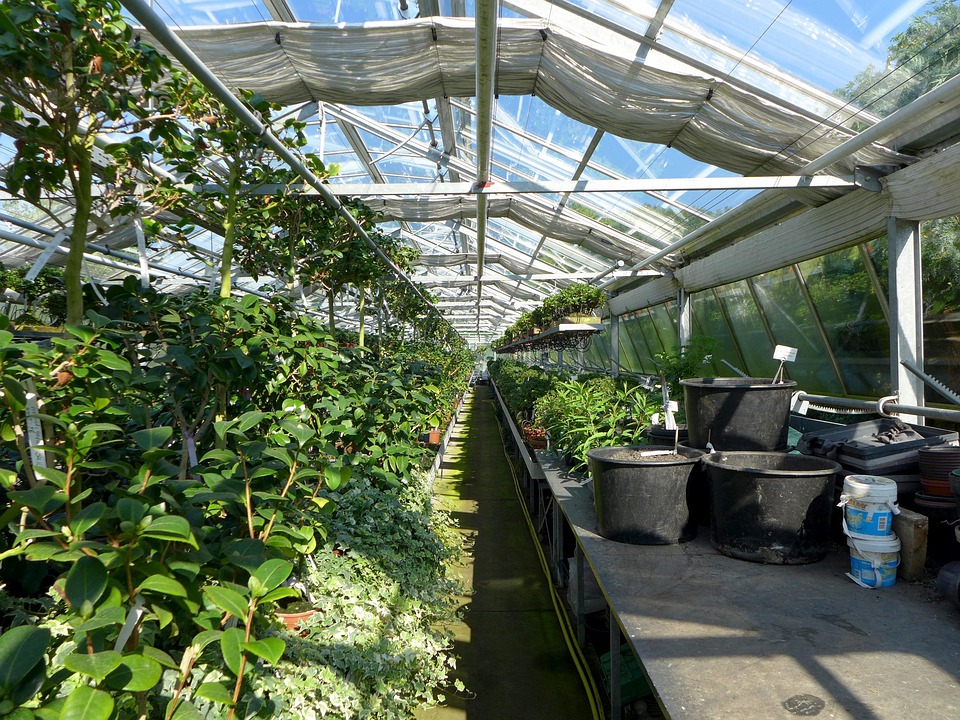Navigating Your Career Path: Essential Roadmaps for Aspiring Nursery Managers in the UK
