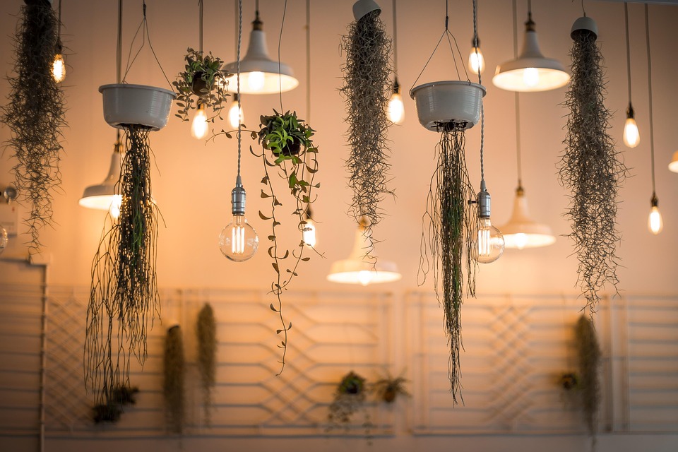 Essential Career Roadmaps for Aspiring Lighting Designers: Your Guide to Success in the Industry
