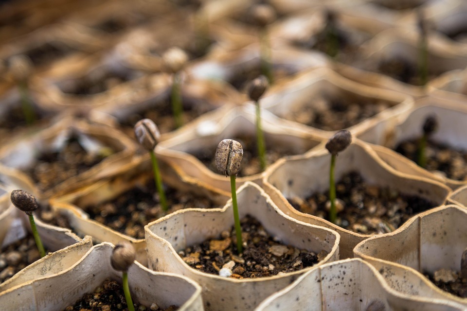 How to Craft an Impressive Nursery Manager Cover Letter: Tips and Examples for Success
