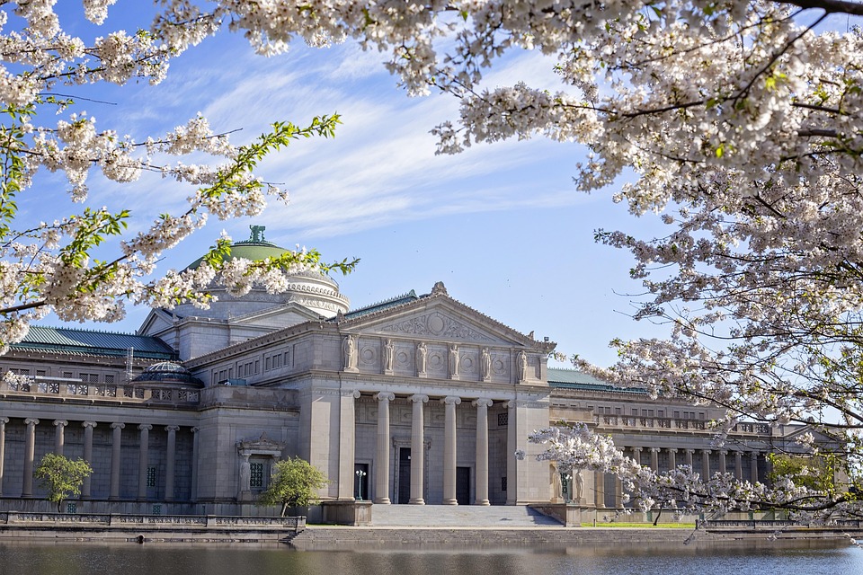Essential Interview Guide for Aspiring Museum Assistants: Tips and Strategies for Success