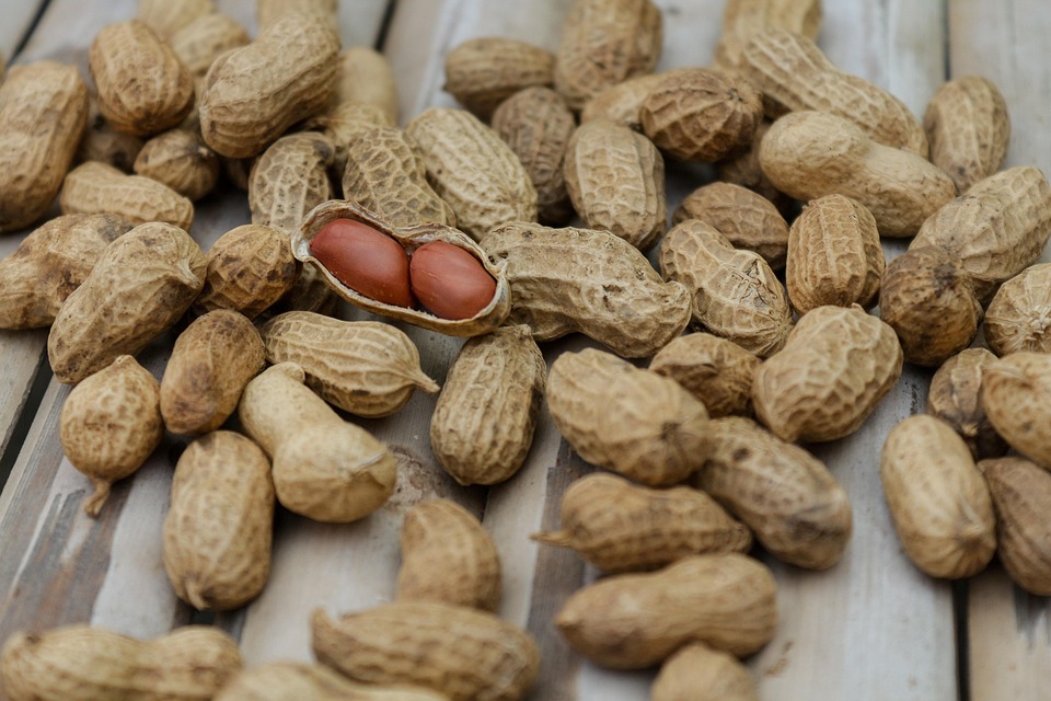 Essential Nutrition Adviser CV Template: Stand Out in Your Job Applications
