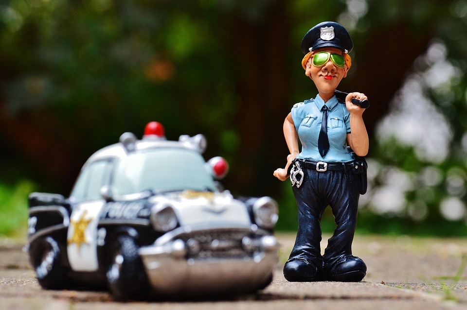 Navigating Your Career Path as a Police Community Support Officer: Essential Roadmaps and Insights