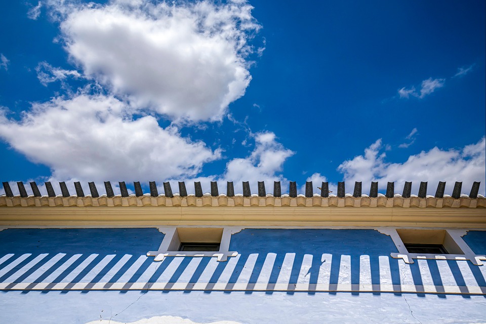 Essential Career Roadmaps for Aspiring Regional Managers: Your Guide to Success