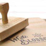Essential Product Marketing Manager Resume Template: Boost Your Career with Proven Strategies