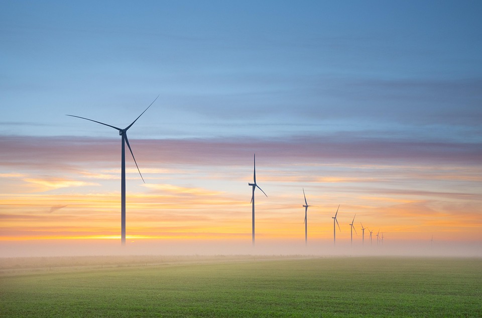 Navigating Your Career Roadmap as a Renewable Energy Consultant: Essential Steps for Success