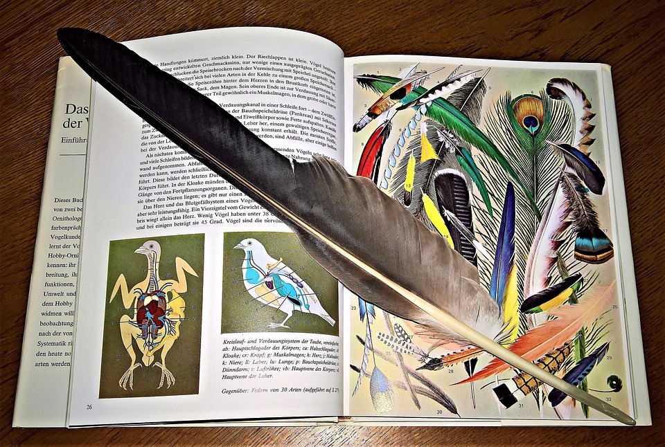 Navigating Your Career Path as a Transliteration Specialist: A Comprehensive Guide to Success