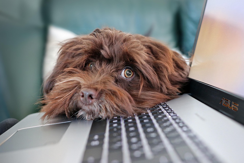 Crafting an Impactful Cover Letter for Science Communicators: Tips and Best Practices
