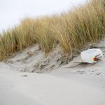 Crafting an Impactful Cover Letter for a Waste Management Officer Role: Tips and Examples