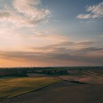 Navigating Your Career Path: A Comprehensive Guide to Becoming a Sustainability Consultant in the UK