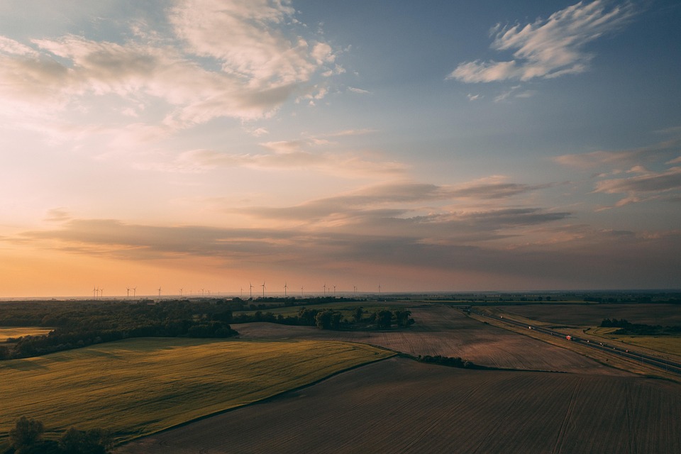 Navigating Your Career Path: A Comprehensive Guide to Becoming a Sustainability Consultant in the UK