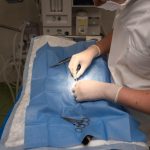 Essential Veterinary Surgeon CV Template: Stand Out in Your Job Application