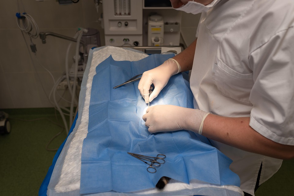 Essential Veterinary Surgeon CV Template: Stand Out in Your Job Application