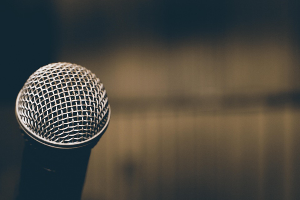 Navigating Your Career as a Voice-over Artist: Essential Roadmaps for Success