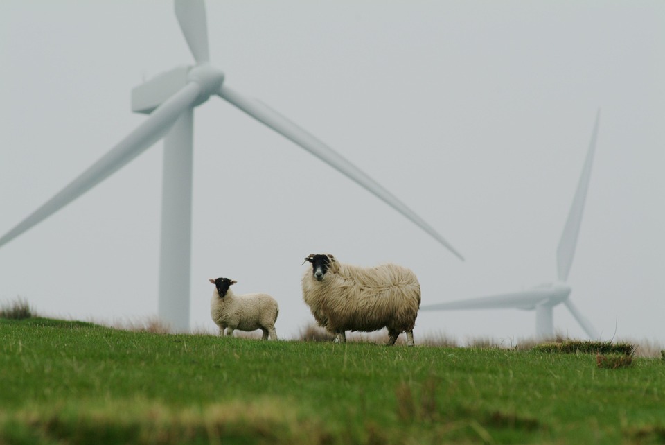 Essential Interview Guide for Aspiring Sustainability Consultants: Tips and Strategies for Success