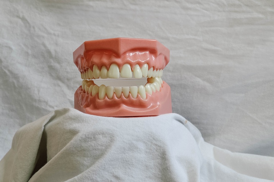 Essential Dental Assistant Resume Template: Stand Out in Your Job Application