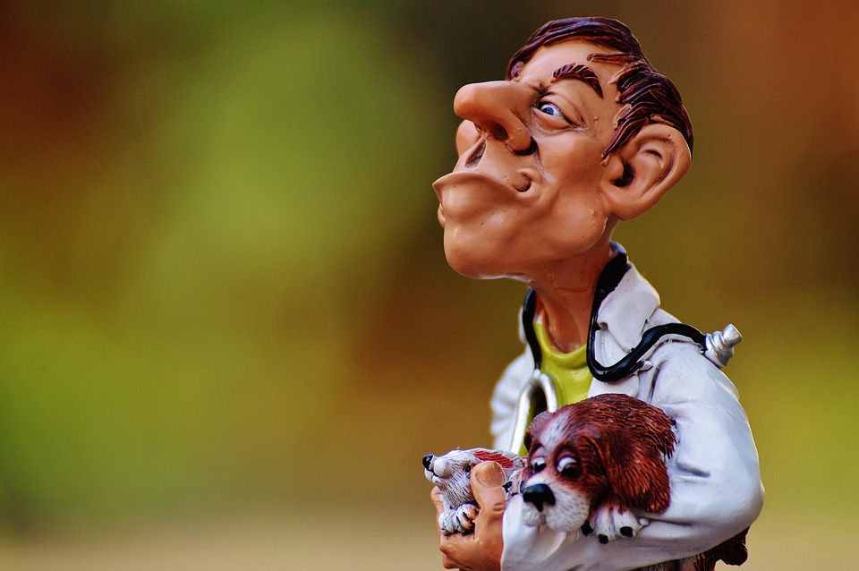 Your Path to Becoming a Veterinary Surgeon: A Comprehensive Career Roadmap