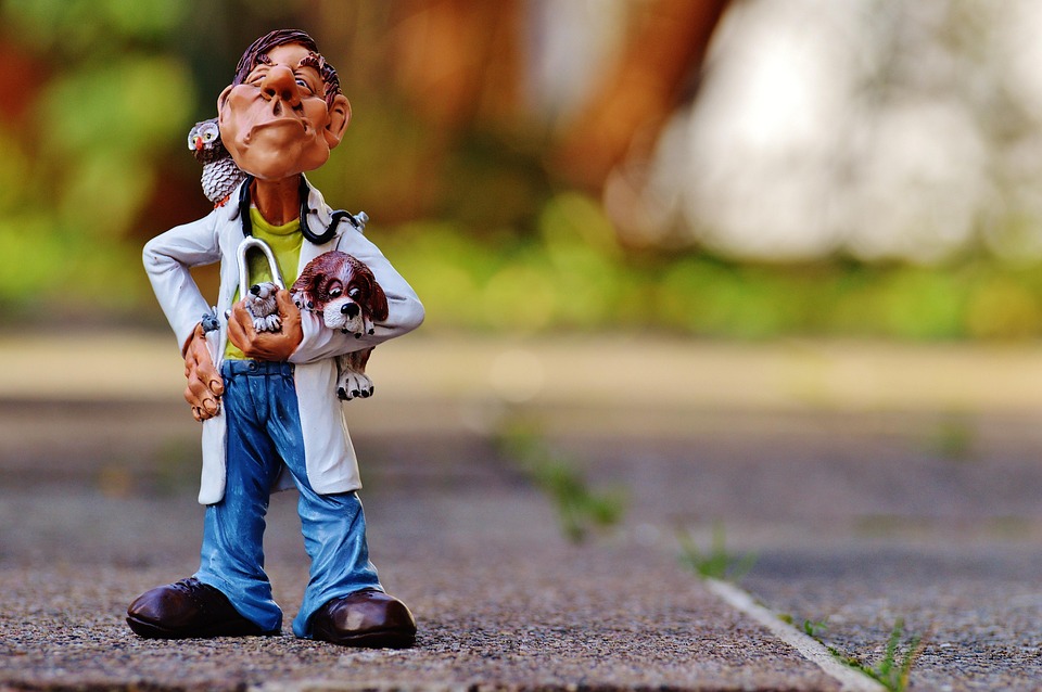 Crafting an Impressive Veterinary Surgeon Cover Letter: Tips for Success