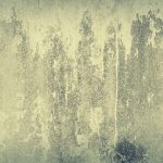 Essential Career Roadmaps for Plasterers: Your Guide to Success in the UK