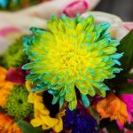 Crafting the Perfect Florist Cover Letter: Tips and Examples for Success