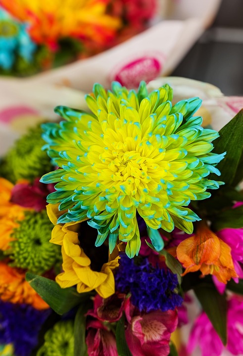 Crafting the Perfect Florist Cover Letter: Tips and Examples for Success