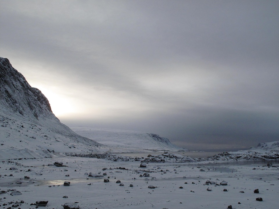 Navigating Your Career Path as a Landscaper: Essential Roadmaps for Success