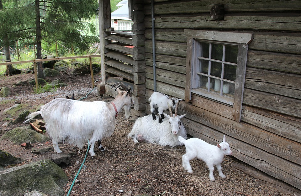 Crafting an Impressive Nanny Cover Letter: Tips for Success in the UK