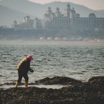 Essential Interview Guide for Aspiring Marine Biologists: Tips and Insights for Success