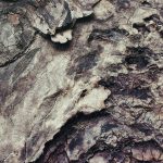 Ultimate Guide to Crafting a Winning Materials Engineer CV: Templates and Tips for Success