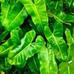 Essential Interview Guide for Aspiring Environmental Consultants: Tips and Strategies for Success