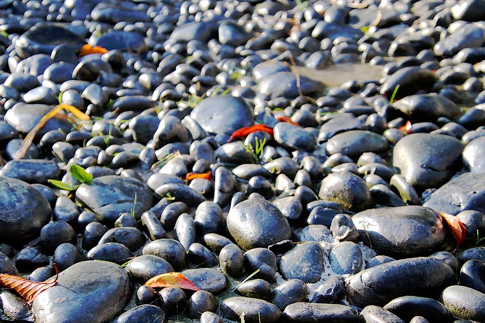 Essential Interview Guides for Aspiring Landscapers: Tips to Land Your Dream Job