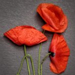 Navigating Your Career Roadmap as a Product Designer: Essential Steps for Success