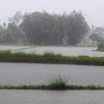 Essential Interview Guide for HR Assistants: Tips and Strategies for Success