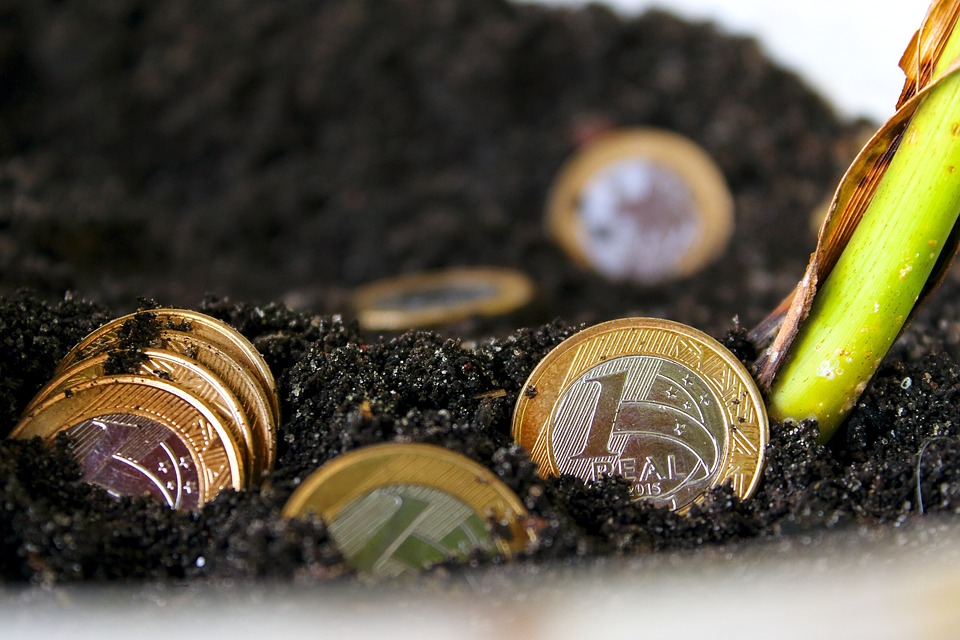 Crafting the Perfect Cover Letter for Financial Advisor Positions: Tips and Examples