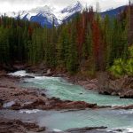 How to Craft a Winning Cover Letter for Landscaper Positions: Tips and Examples