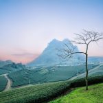 Essential Interview Guides for Early Years Practitioners: Tips and Best Practices