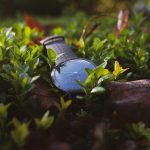 Essential Career Roadmaps for HR Assistants: Your Guide to Advancement in Human Resources