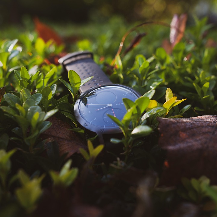 Essential Career Roadmaps for HR Assistants: Your Guide to Advancement in Human Resources